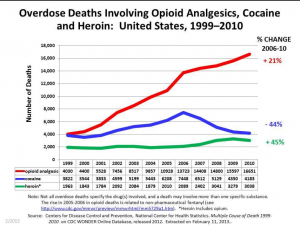 opioid facts sheet